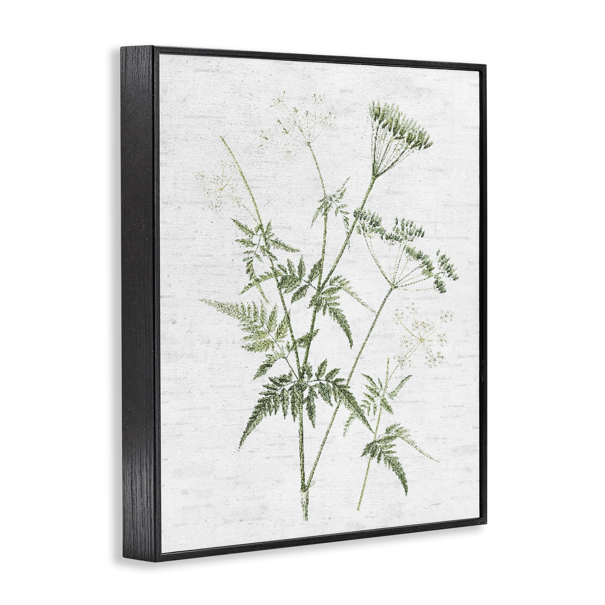 Stupell Industries Soft Blooming Bud Botanical & Floral Painting Black Framed Art Print Wall Art, 11 x 14