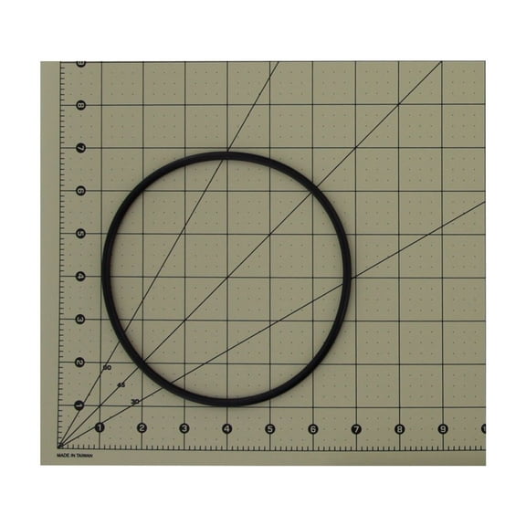 Watts WOR-FF O-Ring for Full Flow Housings
