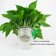 thumbnail image 2 of Solución nutritiva para plantas de 38 ml para un crecimiento óptimo Fertilizante universal para flores hidropónicas, 2 of 8