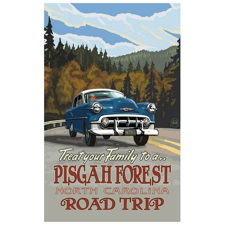 Pisgah Forest North Carolina Road Trip Hills Travel Art Print Poster by Paul A. Lanquist (12