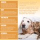 thumbnail image 5 of Pet Skin Care essence Cat Dog Skin Hair Wound Cleaning&Moisturizing Care essence, 5 of 5