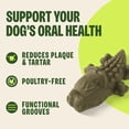 thumbnail image 5 of Wellness WHIMZEES Alligator Natural Dog Dental Treat, Chews, Freshens Breath, Medium Size, 12.7 oz Bag, 12 Count, 5 of 9