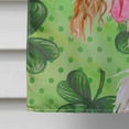 thumbnail image 4 of Carolines Treasures BB9876CHF Afghan Hound St Patricks Flag Canvas House Size  Large multicolor, 4 of 4