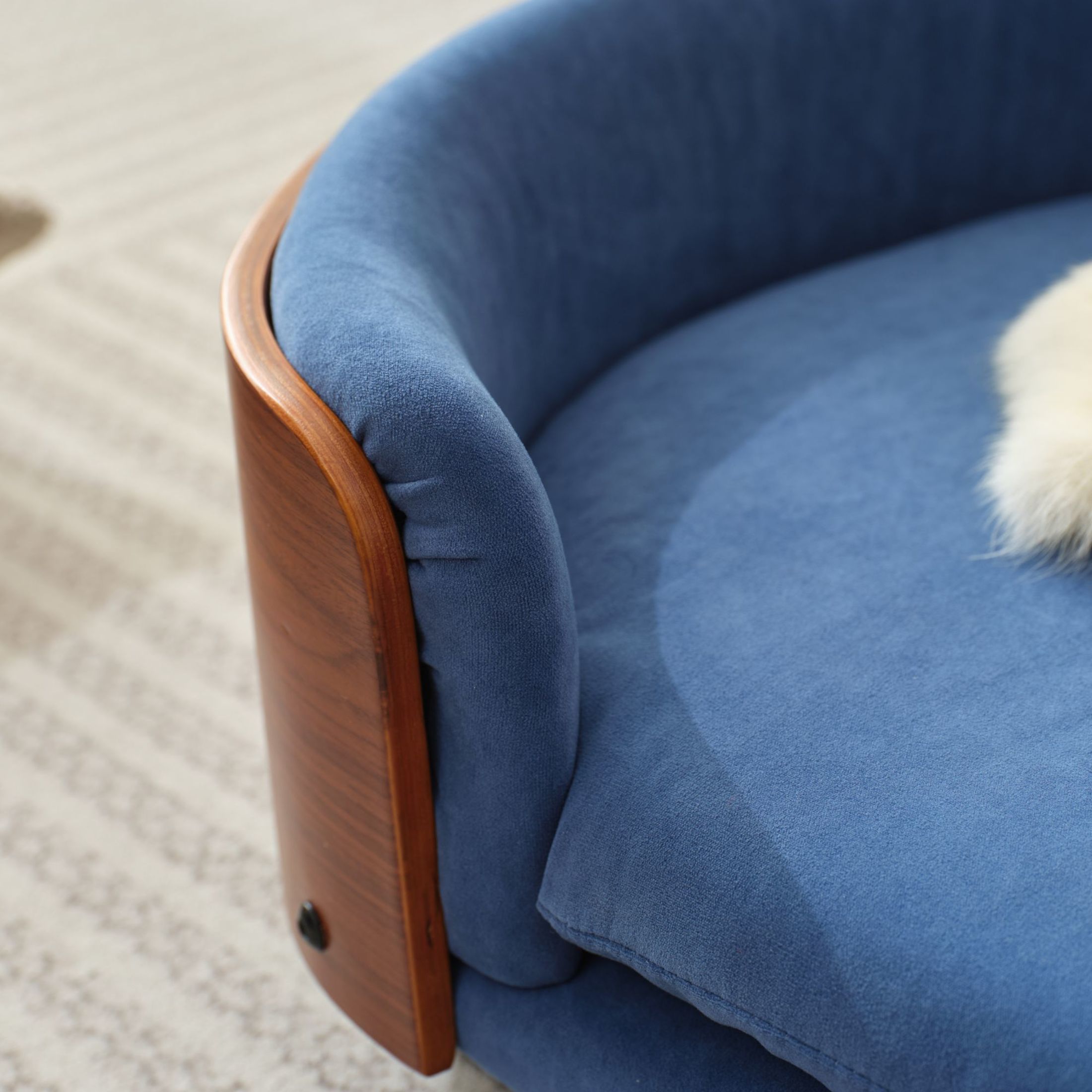 Noble House Scandinavian Elevated Small Dog Bed, Pet Sofa with Solid Wood Frame, Dark Blue and Walnut