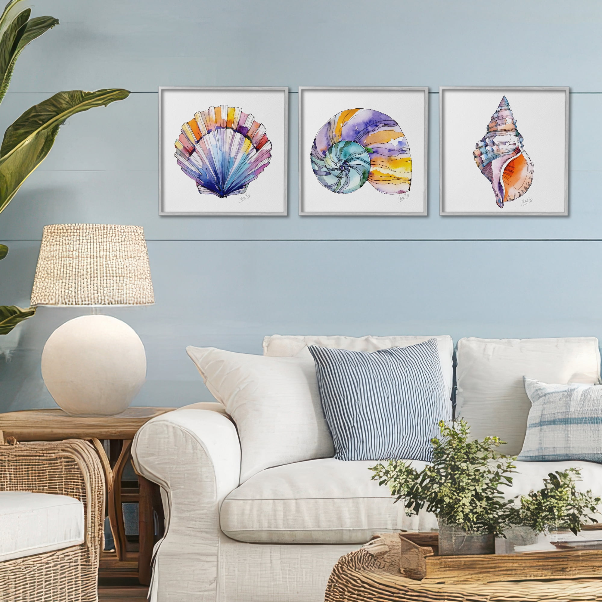 Stupell Industries Sunlit Seashells Watercolors 3 Piece Gray Framed Giclee Art Set, design by Shelly Craig