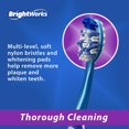 thumbnail image 4 of Cepillo de dientes con pilas BrightWorks Sonic, paquete de 2, 4 of 7