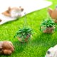 thumbnail image 5 of Casa de muñecas en miniatura TITOUMI 1:12 con plantas en maceta, modelo de maceta colgante de mini bonsái, para juguetes de niños y niñas pequeños, 5 of 7