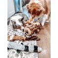 thumbnail image 4 of Juguete interactivo para perros ZippyPaws Burrow Woodland Friends, 4 of 9