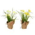 thumbnail image 1 of Vickerman FJ181201 Pot de Jonquille Vert & Jaune de 10 Po - Lot de 2, 1 of 2