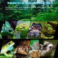 thumbnail image 2 of Muyoka Lámpara de calor de tortuga Reptiles Lámpara de terrario Lámpara de calentamiento de reptiles Lámpara de punto de calor UVA Muyoka Hogar, 2 of 7