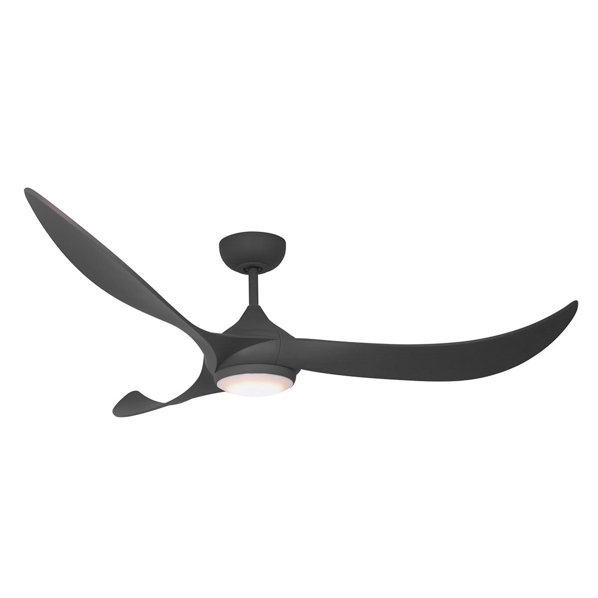 Lighting Ceiling Fans With Lamp Graphics More Toilet Paper And