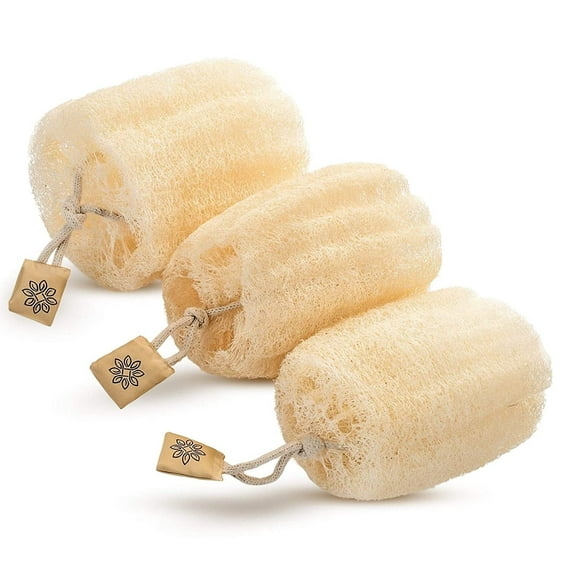 Natural Real Egyptian Shower Loofah Sponge That Will Get You Clean and Not Just Spread Soap (3 lufa Pack).