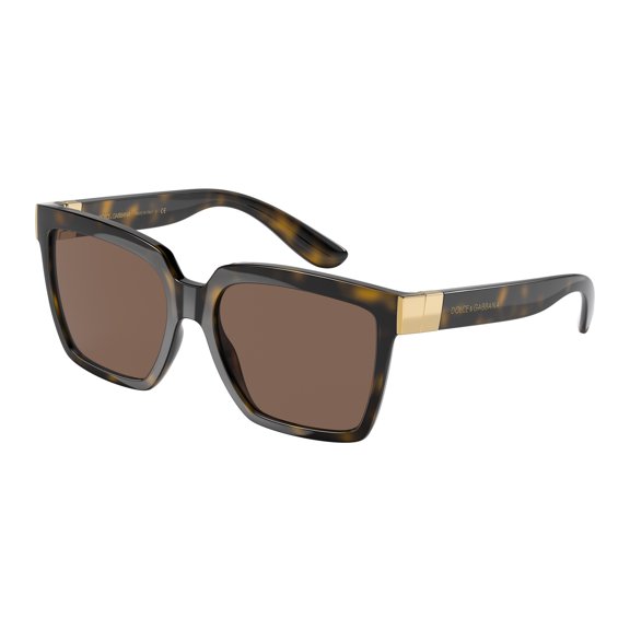 Sunglasses Dolce & Gabbana DG 6165 502/73 Havana Dark Brown