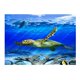 thumbnail image 2 of 3D Acuario Paisaje Póster  Vivarium Fondo Tortuga L Zulema Foto de fondo del tanque de peces, 2 of 8