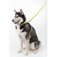 thumbnail image 4 of Dogline Comfort Microfiber Flat Leash for Dogs (W 1" L 6ft), Green, 4 of 9