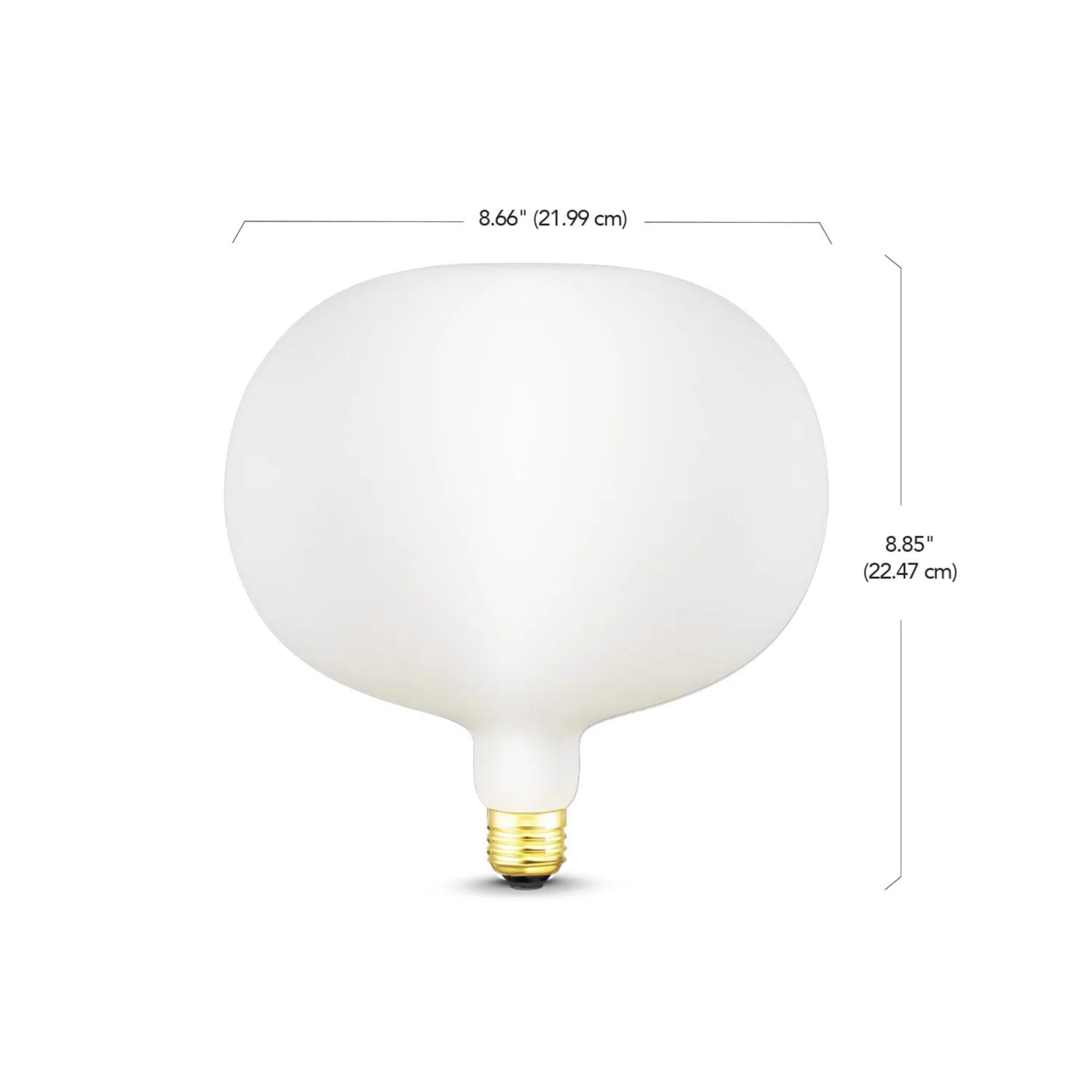 Globe Electric Decorative E26 (Medium) LED Bulb Cool White 7 Watt Equivalence 1 pk