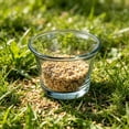 thumbnail image 4 of Glass Bird Feeder Cups,Oriole Jelly Feeder Replacement Bowls,Outdoor Hanging Bird Feeder Cups for Hummingbirds,Goldfinches,Gardens and Balconies 4PCS, 4 of 7