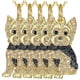 thumbnail image 1 of Collar Royal Yorkie High Monaco con Dije y Cadena Dorado/Negro MXNDK-005, 1 of 5