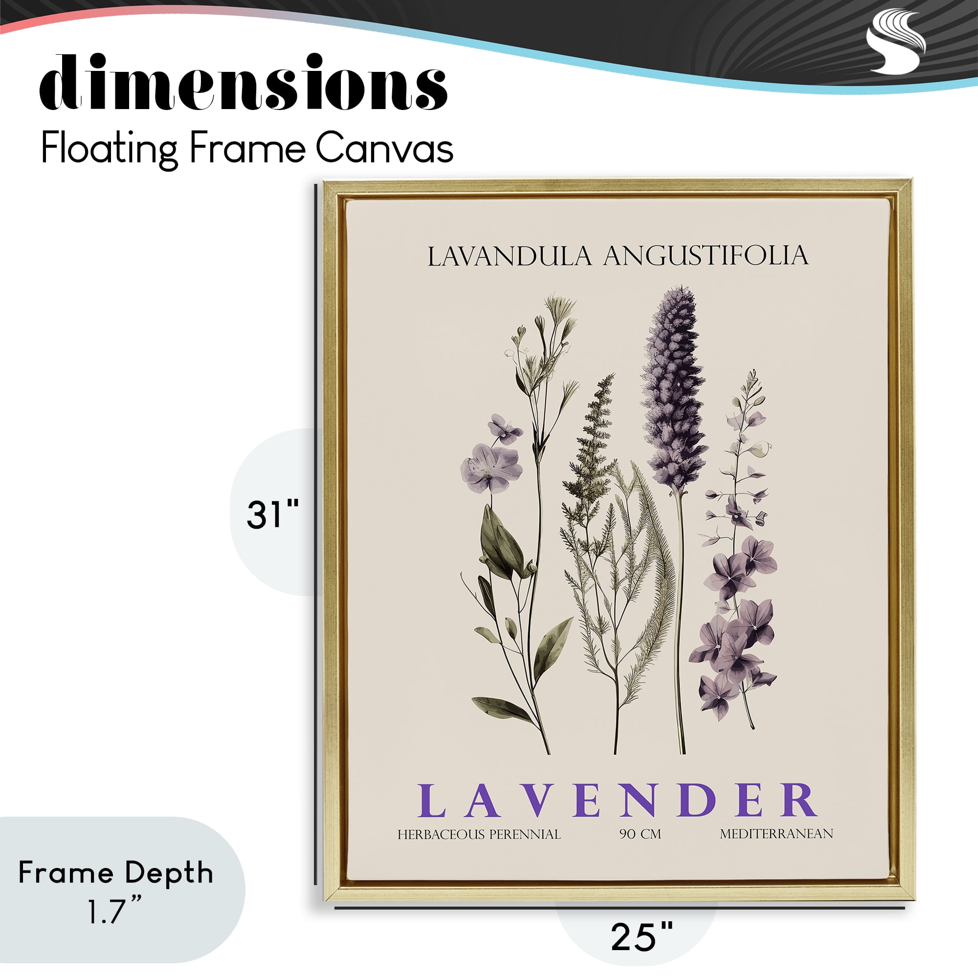 Stupell Industries Natural Lavender Bundle Gold Framed Floater Canvas Wall Art, design by Christopher Giampietro