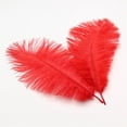 thumbnail image 3 of Red Ostrich Feather,Bexikou 20 Pcs 8-10 inch(20-25 cm) Ostrich Feathers for Crafts Floral Arrangement,Wedding Party Centerpieces Home Decorations, 3 of 7