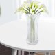 thumbnail image 4 of Florero de Cristal Transparente Florero de Mesa Centro de Mesa para El Hogar, Jardín, Cafetería Decoración Decoración de Boda , cola de cola de Fernando Florero de escritorio transparente, 4 of 8