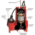 thumbnail image 4 of Red Lion 1/3 Hp Cast Iron Sump Pump With Tethered Switch, 4 of 9