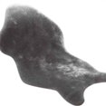 thumbnail image 3 of Faux Sheep Skin Carpet Ultra Soft Chair Sofa Cover Rugs Warm Hairy Carpet Seat Pad for Home Office Decoration, 3 of 4