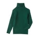 thumbnail image 1 of Suéter De Cuello Alto Para Niños Pequeños Suéter De Punto Para Bebés Suéter Suave Sólido Cálido Suéter De Ganchillo Verde Odeerbi LM103-741, 1 of 4