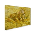 thumbnail image 2 of Van Gogh 'Quinces Lemons Pears And Grapes' Canvas Art, 2 of 3