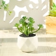 thumbnail image 4 of Succulentes en Pot Simulées avec Pot de Fleurs Mini Différentes Succulentes Artificielles Plante en Pot pour la Maison, 4 of 8