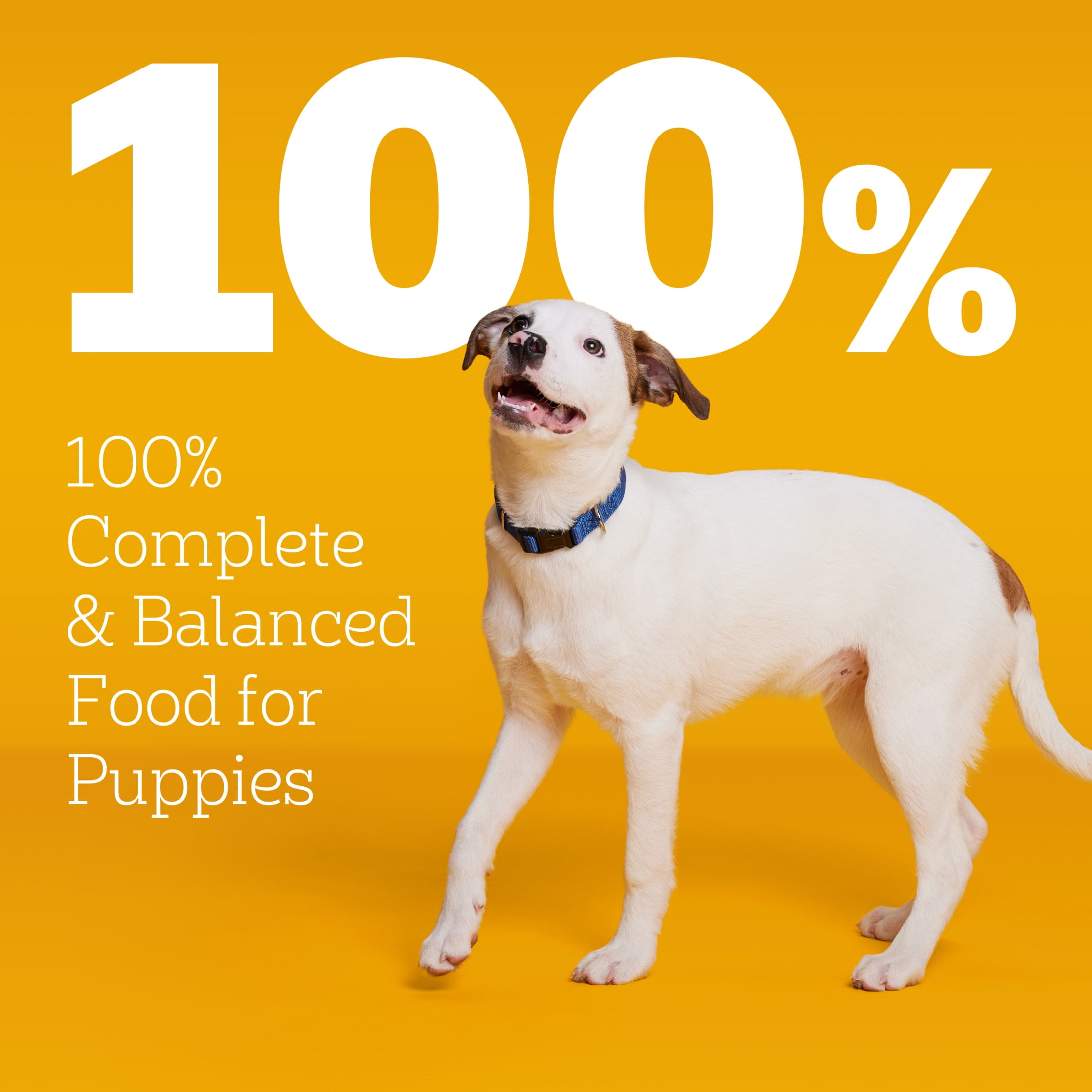 Pedigree Puppy Growth And Protection Chicken And Vegetable Dry Dog Food For Puppies, 30 Lb Bag