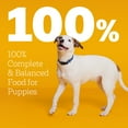 thumbnail image 2 of Pedigree Puppy Growth & Protection Chicken & Vegetable Flavor Dry Dog Food, 14 Lb Bag, 2 of 8