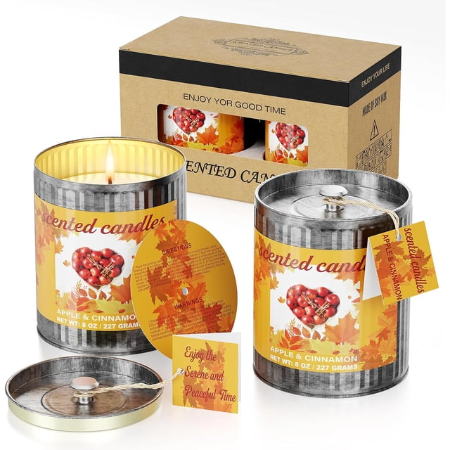 Scented Candles Gift Set- Apple & Cinnamon, 2 x 8 oz Aromatherapy Candle Soy Wax Tin Candles with Lid, Each 40 Hours Long Lasting Burning Time