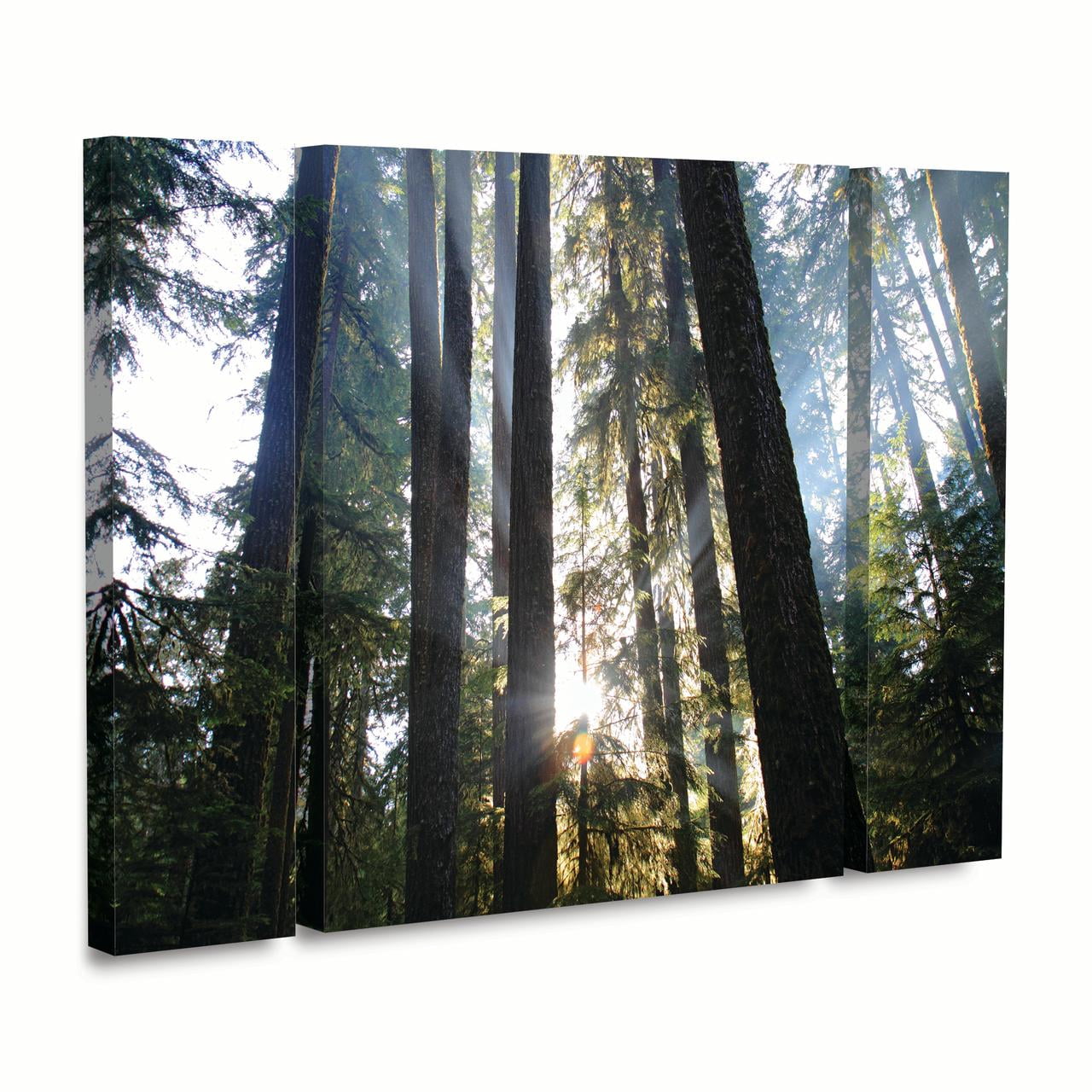Trademark Fine Art 'Sunrays' Canvas Art by Pierre Leclerc