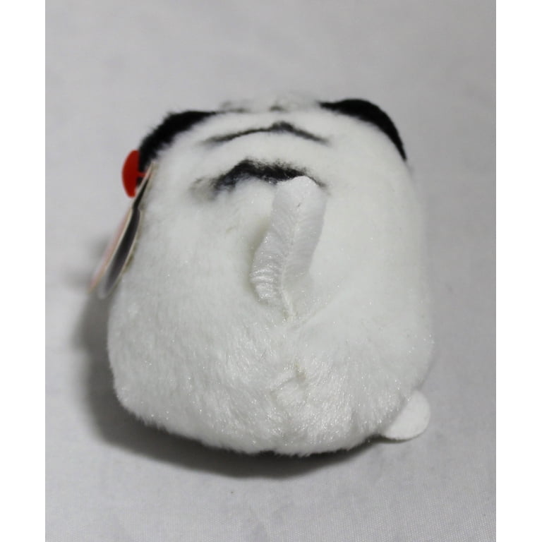 Zack White Tiger - Teeny Tys - Stuffed Animal by Ty (42209