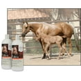 thumbnail image 3 of UltraCruz Equine Oatmeal Horse Shampoo Bundle, 2 x 32 oz Each, 3 of 4