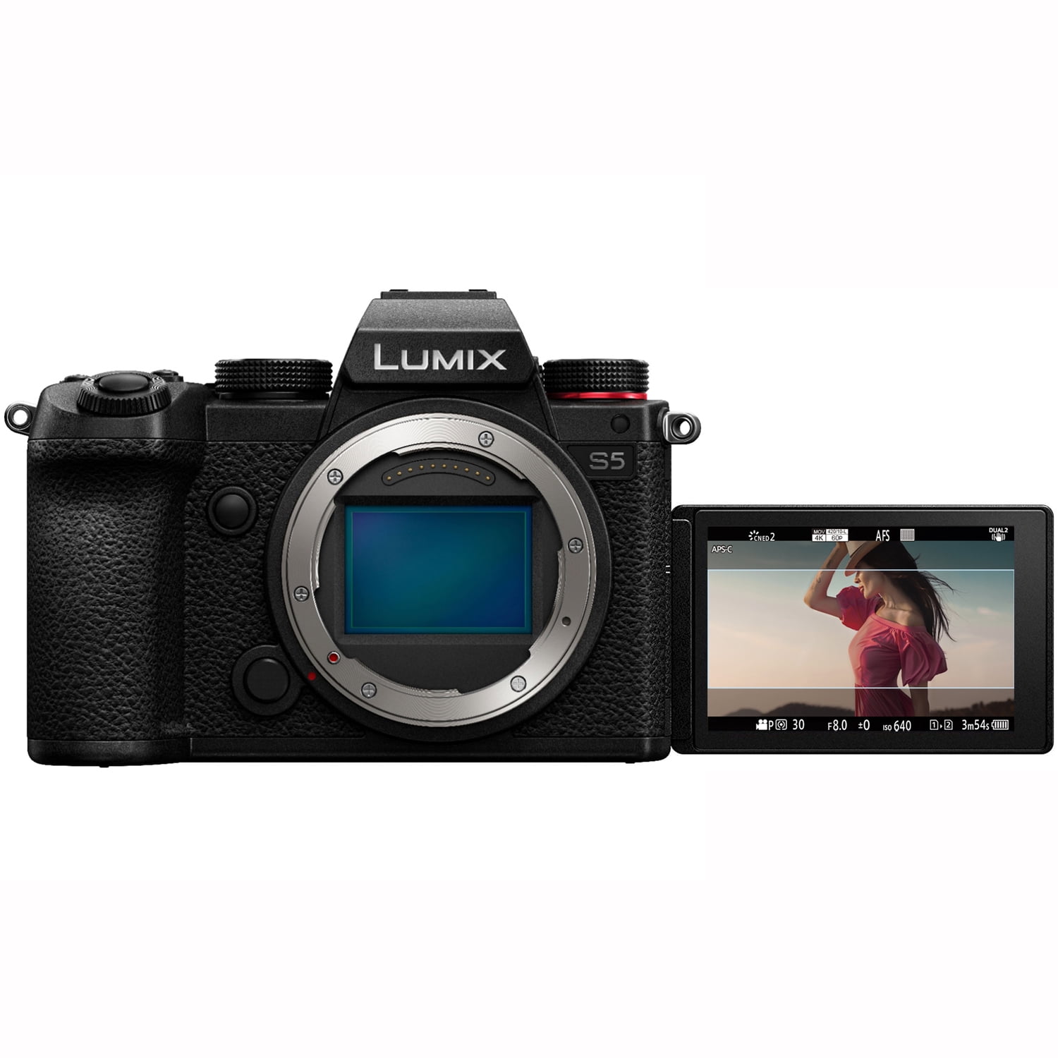 Panasonic LUMIX S5 Full Frame Mirrorless Camera, 4K 60P Video Recording  with Flip Screen & WiFi, L-Mount, 5-Axis Dual IS, DC-S5BODY (Black)