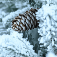 thumbnail image 6 of Tcbosik 2ft Prelit Flocked Tabletop Christmas Tree with Pot Base, Artificial Xmas Holiday Tree with 30 Warm White LED Lights, 3 Pine Cones and 189 Branch Tips for Small Space, White+Green, 6 of 7