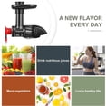 thumbnail image 3 of Masticating Juicer Attachment for All Kitchen Aid Stand Mixers, Easy to Clean Slow Juicing Parts, Cold Press Accessories for Fruits & Vegetables, Mach, 3 of 6