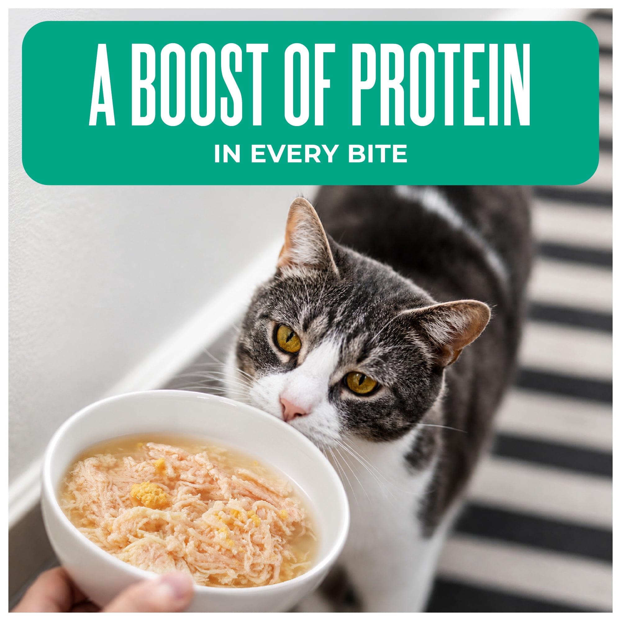 (12 pack) Tiki Cat Born Carnivore Complements Wet Cat Food Topper, Variety Pack 2.1 oz. Pouch (12 Pack)