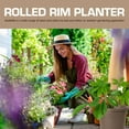 thumbnail image 2 of Rugg 7772205 Polyresin Planter - Cappuccino, 2 of 6