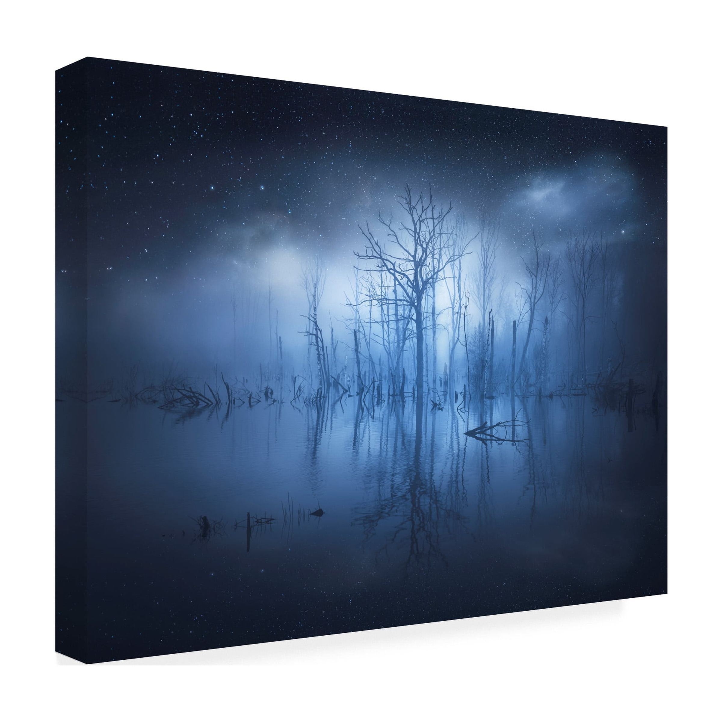 Christian Lindsten 'Stranger Things' Canvas Art