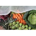 thumbnail image 4 of Tierra Garden Haxnicks 12' x Mesh Polypropylene Plant Cover, 4 of 4