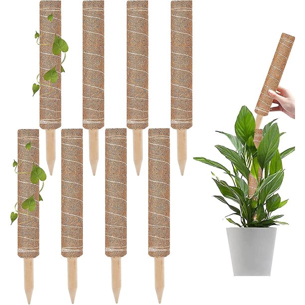 Paquete de 8 postes de musgo LANNMXG de 43 cm para plantas Monstera Pothos