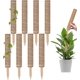thumbnail image 1 of Paquete de 8 postes de musgo LANNMXG de 43 cm para plantas Monstera Pothos, 1 of 5