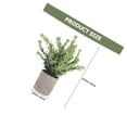 thumbnail image 2 of COSMOBETTY 3Ud Adorno De Planta Artificial Bonsái De Para Y Estante, 2 of 6