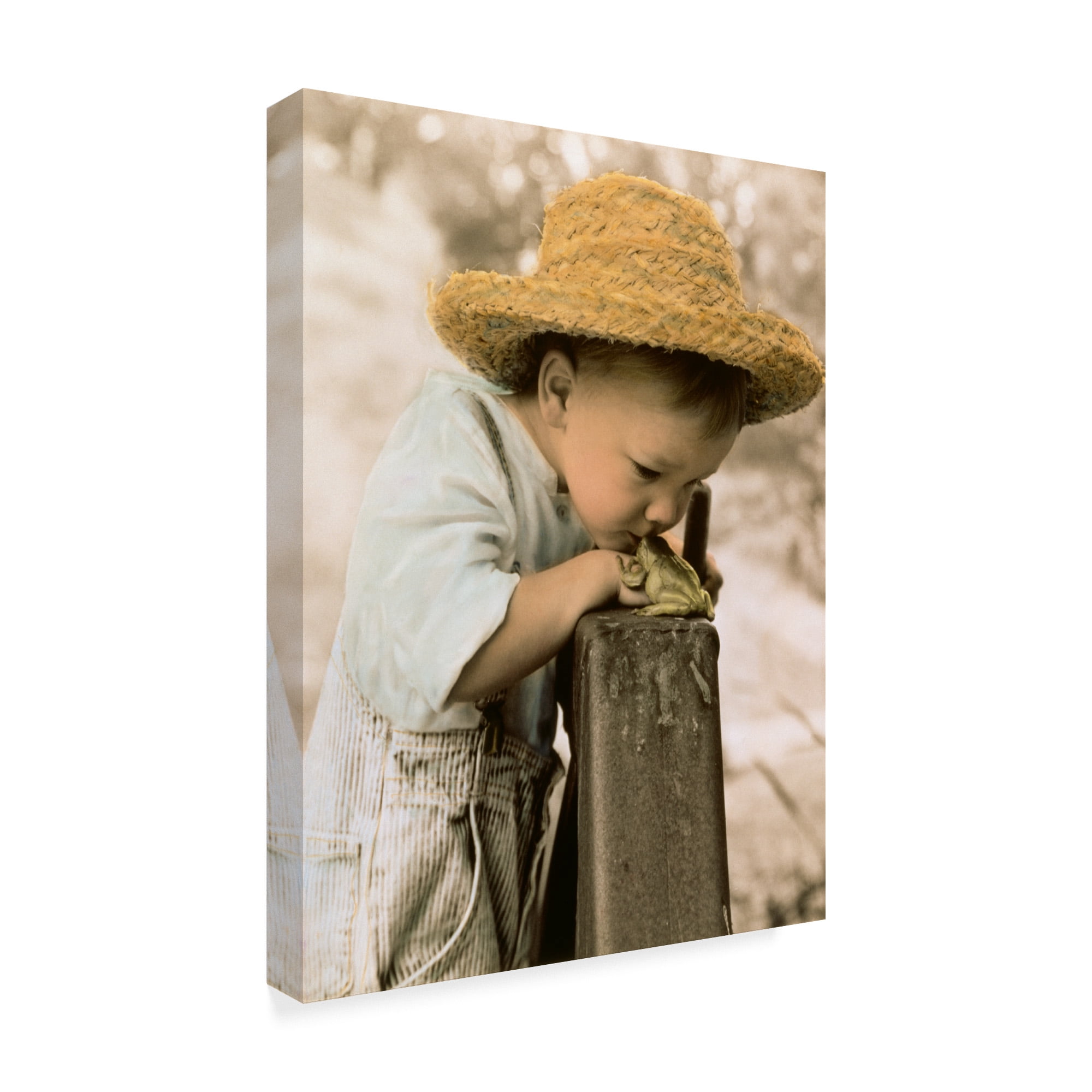 Trademark Fine Art 'Princess Frog' Canvas Art by Sharon Forbes