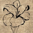 thumbnail image 2 of Wolk, Lisa 12x12 White Modern Wood Framed Museum Art Print Titled - Tulip Thoughts, 2 of 4