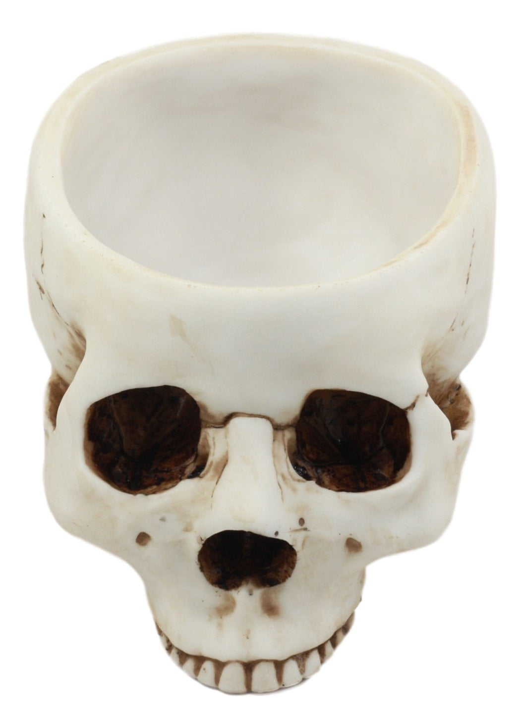 Ebros Gift Day Of The Dead Bone Skull Bowl Figurine 6.75"Long Skeleton Head Gardening Planter Sculptural Vessel Treat Container Decorative Bowl