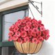 thumbnail image 4 of Flores artificiales 7 tenedores hojas mañana decoración del hogar ramo de boda patio exterior flores decorativas, 4 of 5